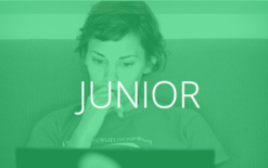 Traduzione Curriculum Inglese Servizio