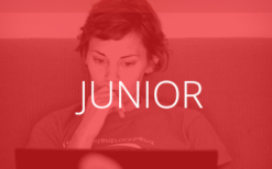 Creazione Revisione Curriculum Inglese