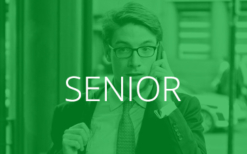 Traduzione Senior Curriculum Inglese